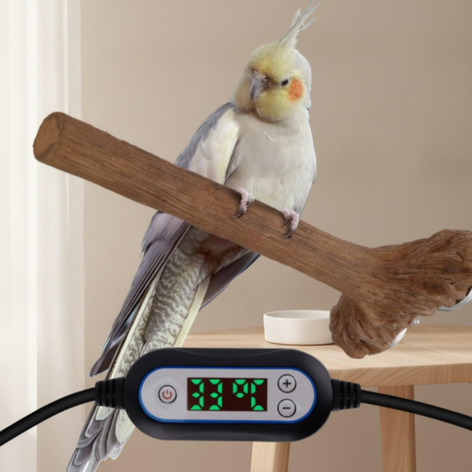 Stabil Sitzstange mit Temperatur | Heizsitz für Vögel, zu montieren, Sitzäste für Vögel, kaltes Wetter, Haustiervögel, Halter