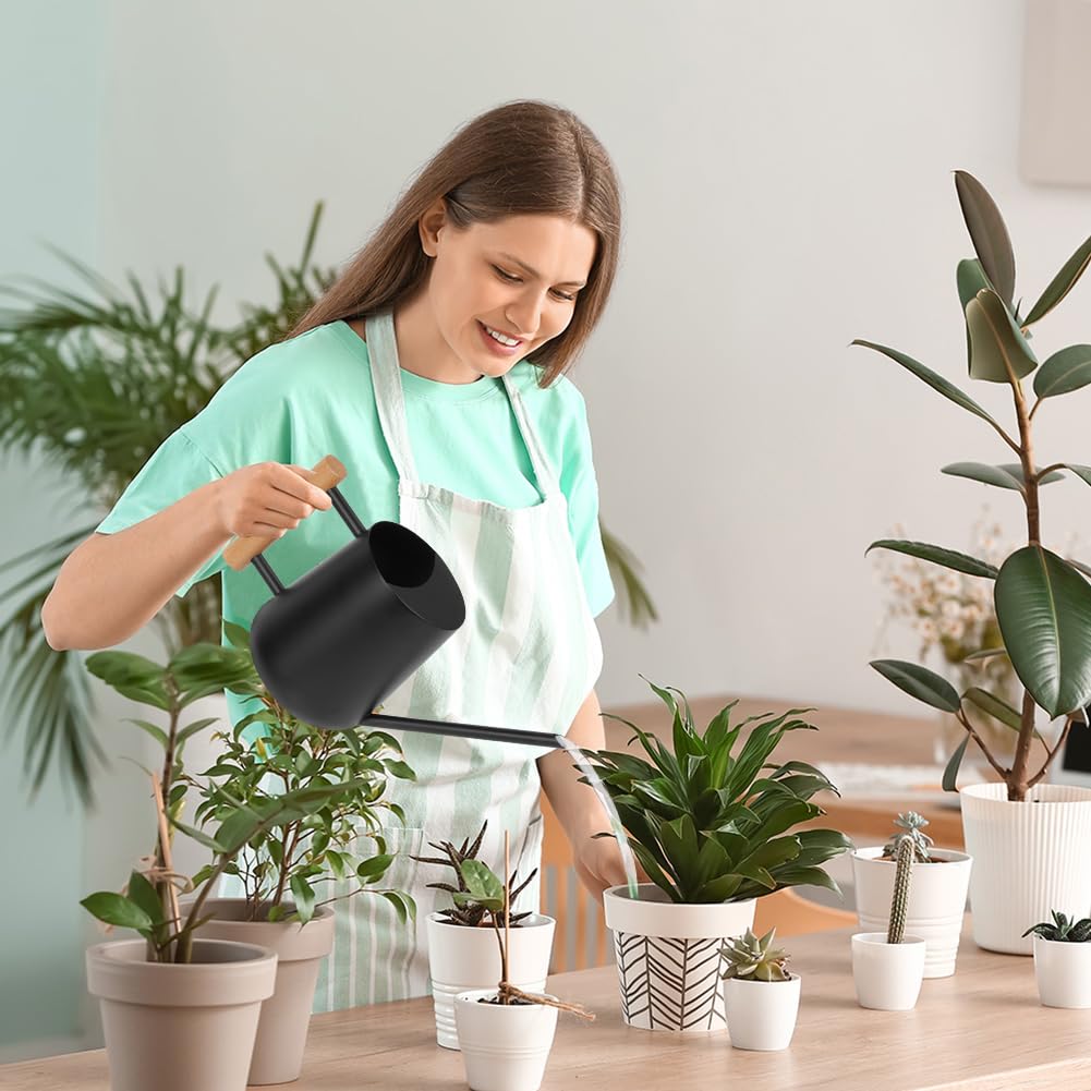 OFFCUP 35oz 1L Regadera Pequeña, Regadera de Acero Inoxidable para Jardín, Regadera con Caño Largo y Cómodo Mango de Madera, Regadera para Plantas, para Vivienda Exteriores Interior (Negro)