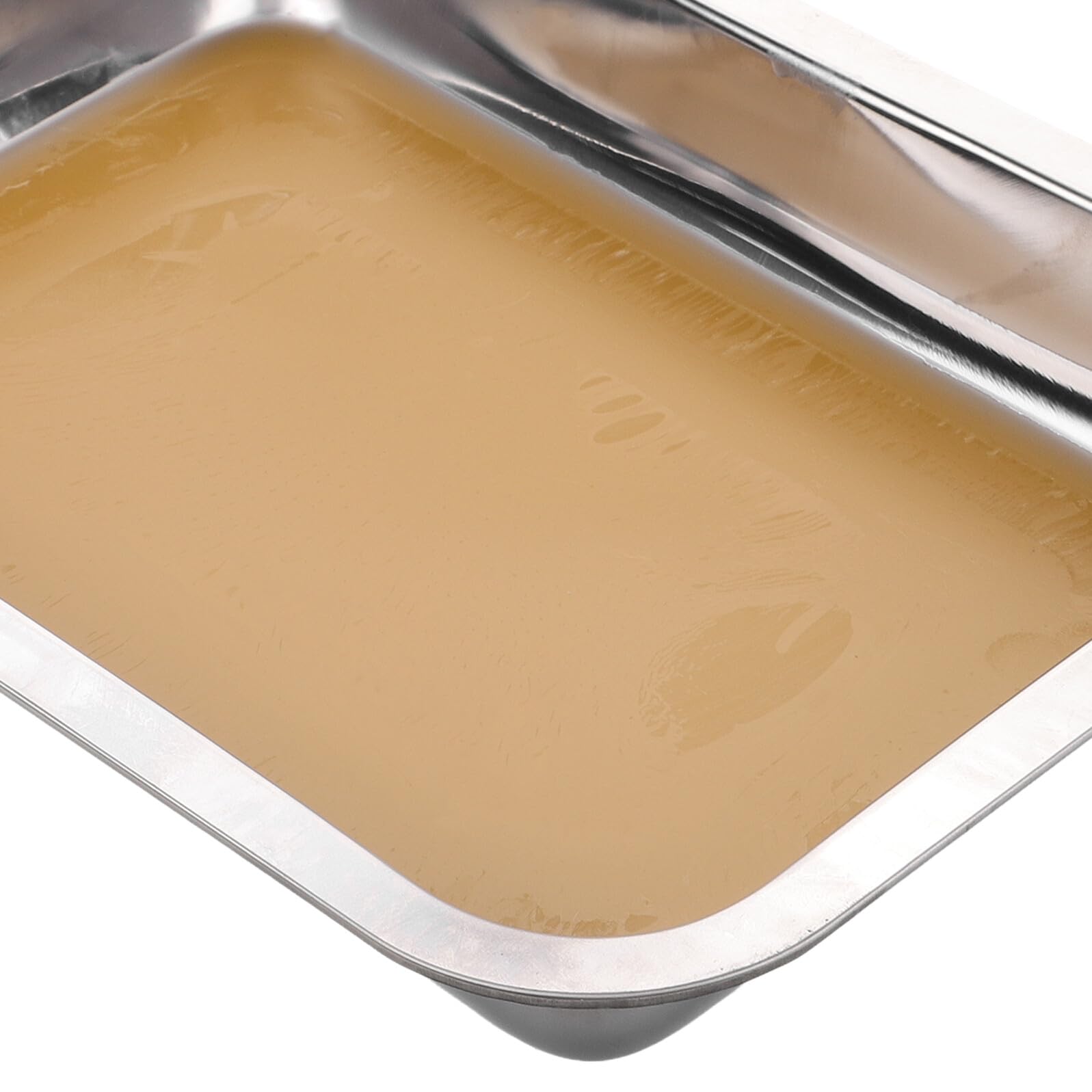 SEWACC Bandeja de Disección de Acero Inoxidable con Base de Cera Resistente y Duradera para Laboratorio Biológico Herramienta Versátil para Enseñanza y Experimentos Científicos