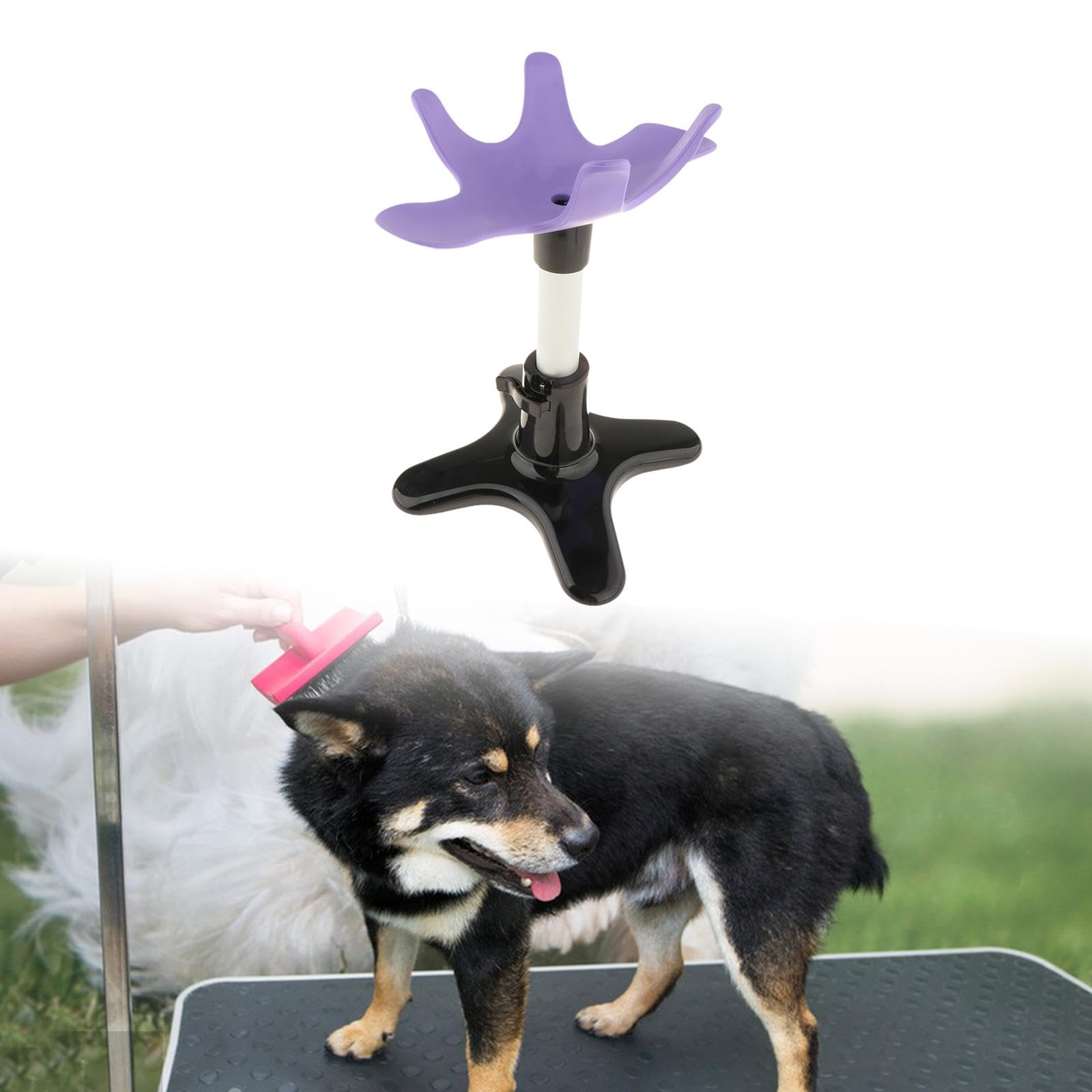 Baoblaze Supporto per toelettatura per Cani, Supporto per toelettatura assistito per Cani, Versatile, Professionale, per Animali Domestici, per la toelettatura, Viola