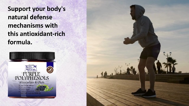 Amazon.com: Reddy Naturals Purple Polyphenols Antioxidant