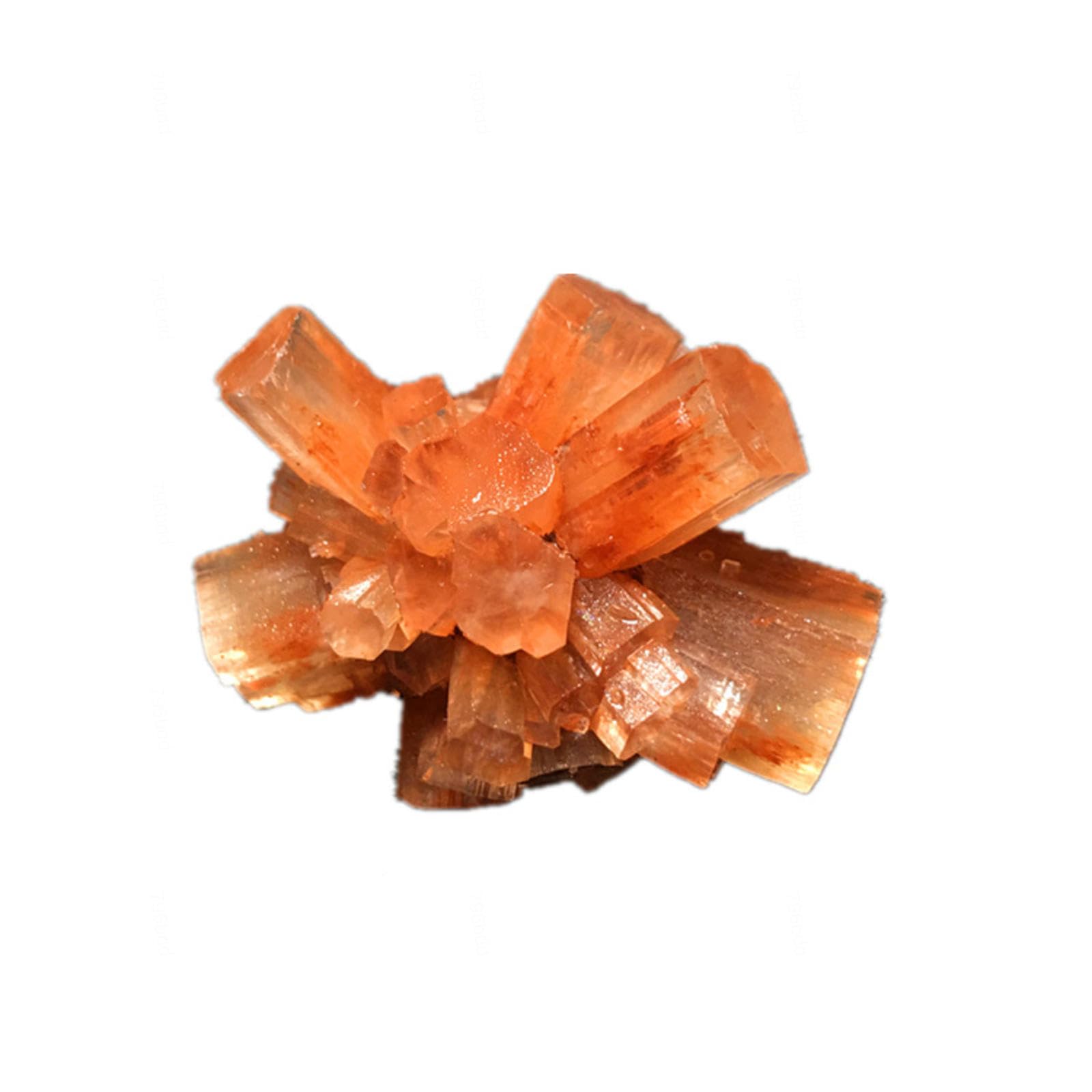 VIDECOR Racimo de Cuarzo de Cristal de Amatista Natural, Piedra de Espécimen de Geoda Mineral para Decoración del Hogar Curativa Reiki,35-45mm