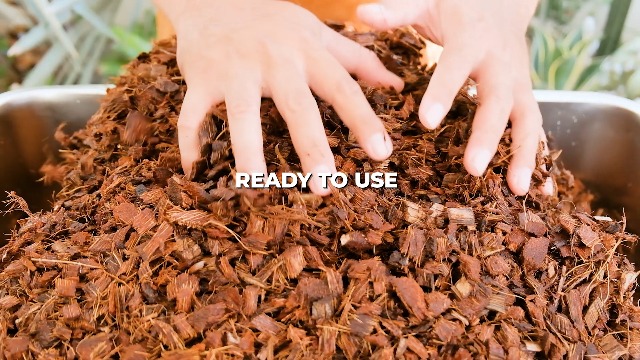 Invisible ink WOODLAND THE BASE chips 花台 Amazon.com : Coco Coir Chips Brick for Plants (11lb) – Washed