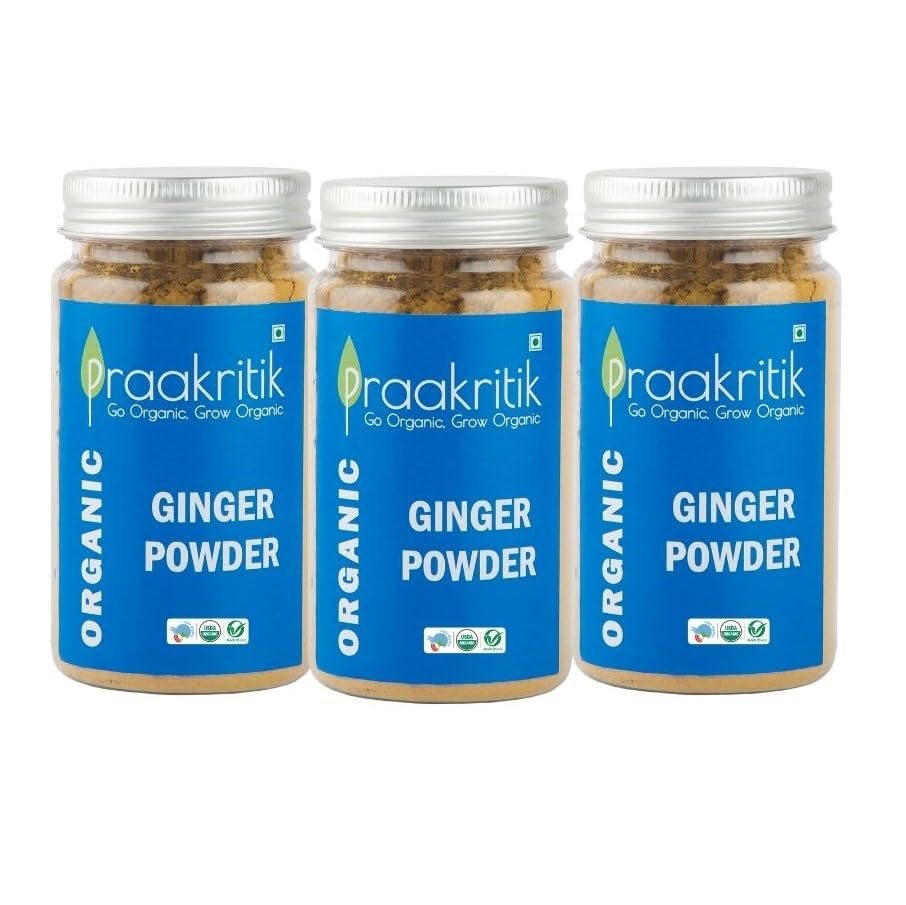 Praakritik Organic Ginger Powder, 100% Organic Powder, Daily Use Healthy Ginger Powder, No Artificial Color No Artificial Flavor, Pack of 3, 100 Grams Each Total 300 Gram