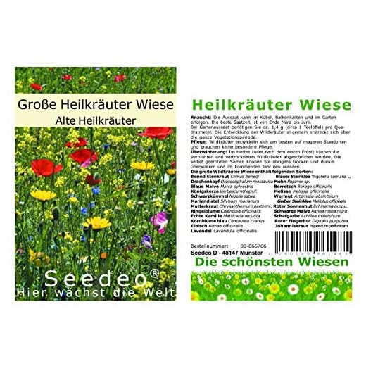Seedeo Die große Heil-Wildkräuter Wiese