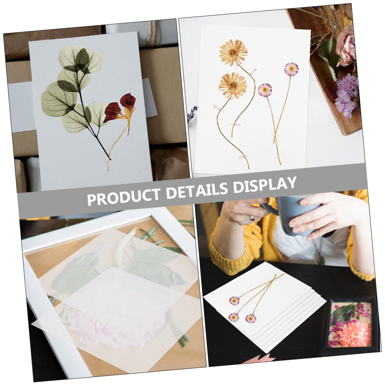 DIYEAH 5juegos Kit Profesional De De Flores De Para Secar Accesorios Para Manualidades Placas Resistentes y Papeles Secantes Para Tarjetas y Decoraciones