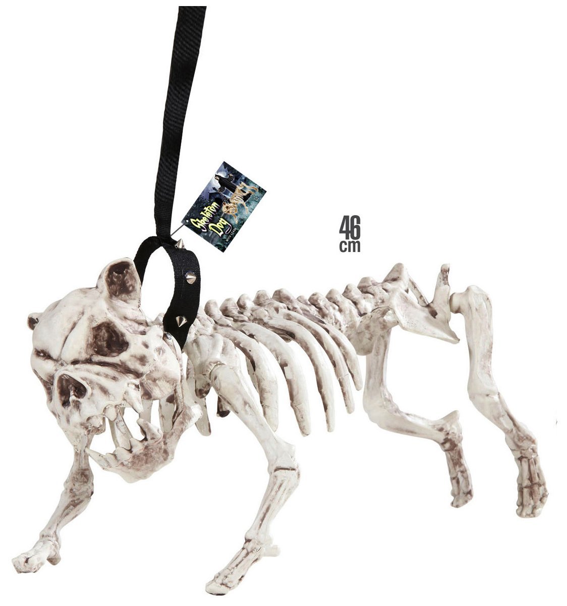 W WIDMANN MILANO Party Fashion - 01373 - Scheletro di cane con guinzaglio, 45 cm, decorazione per feste, Halloween, carnevale, festa a tema