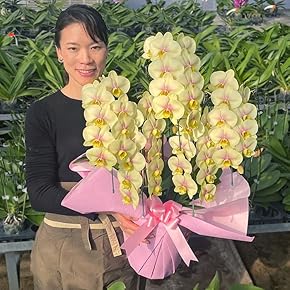 Amazon.co.jp: 種・苗 - ガーデン: DIY・工具・ガーデン: 種, 苗