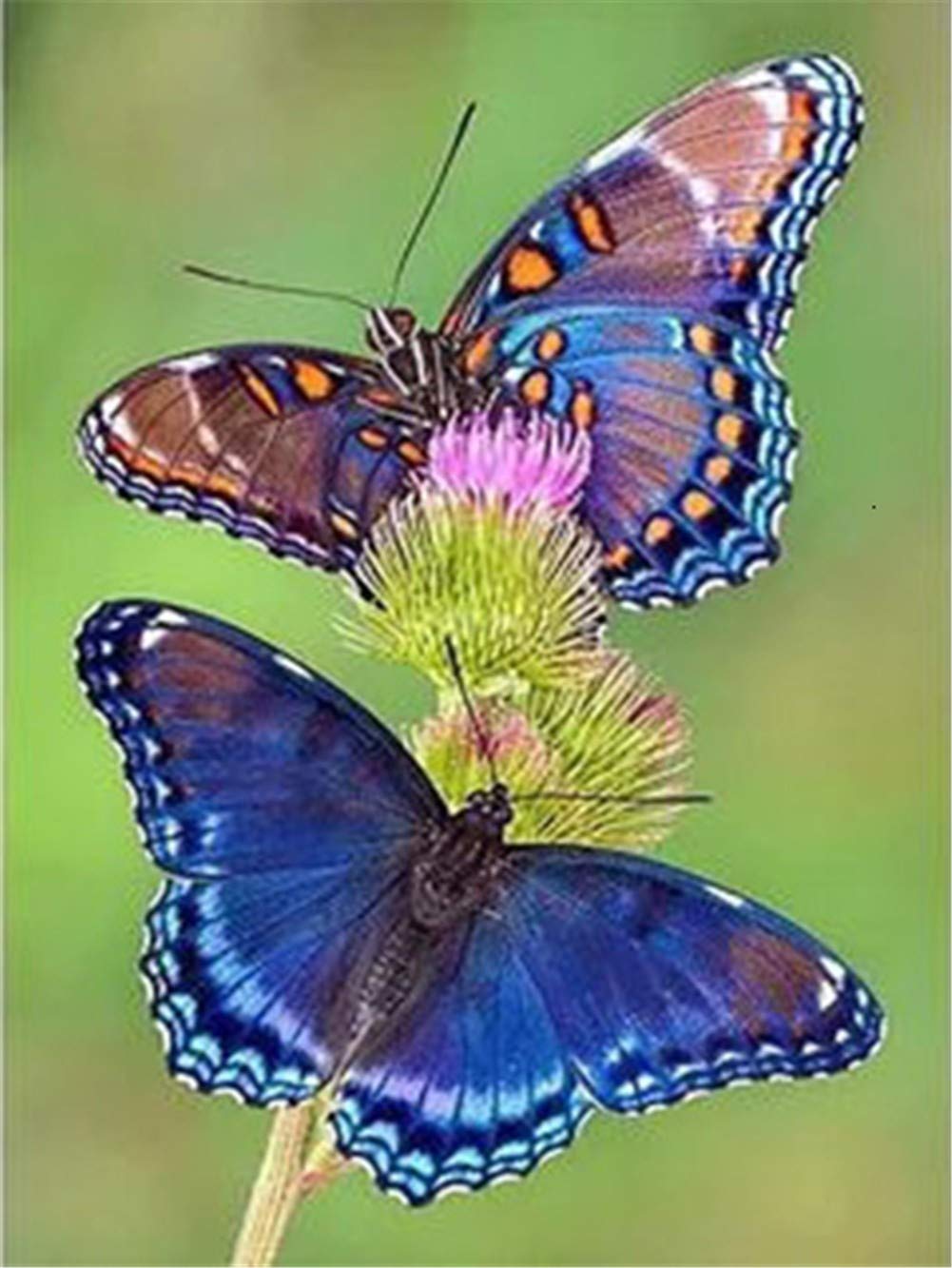 Diamond Painting Fleurs de Papillon Bleu Broderie 5D Round Drill 70x90cm