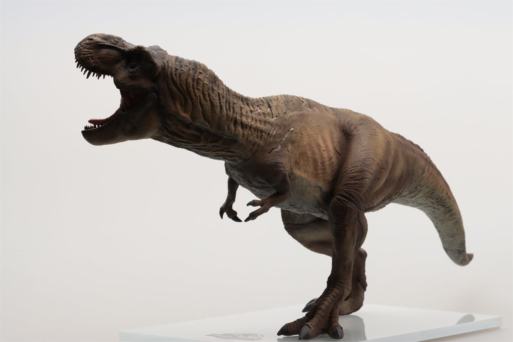 AMITD Figura de Tyrannosaurus Rex escala 1:30