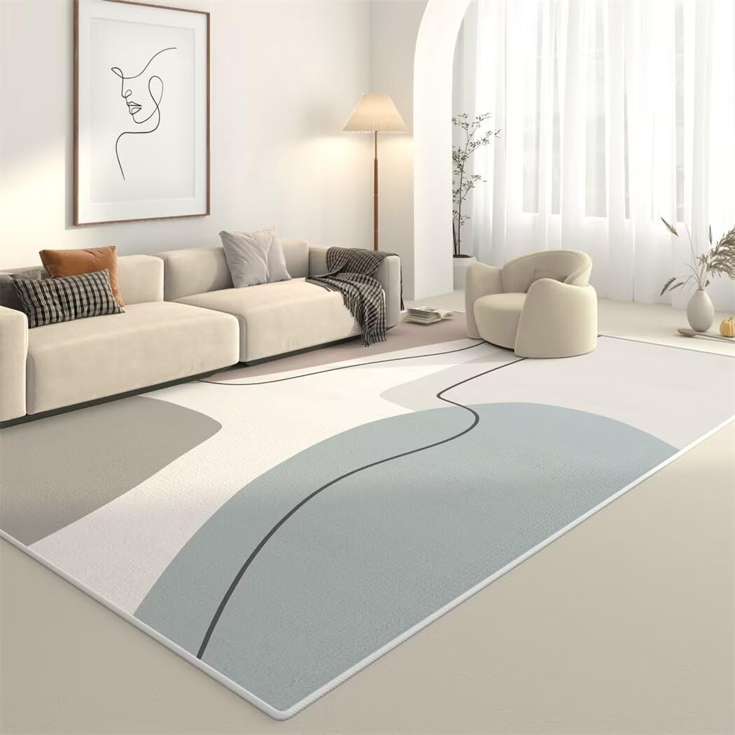 Tapis salon lavable en machine fini les taches grand tapis bleu 200x280