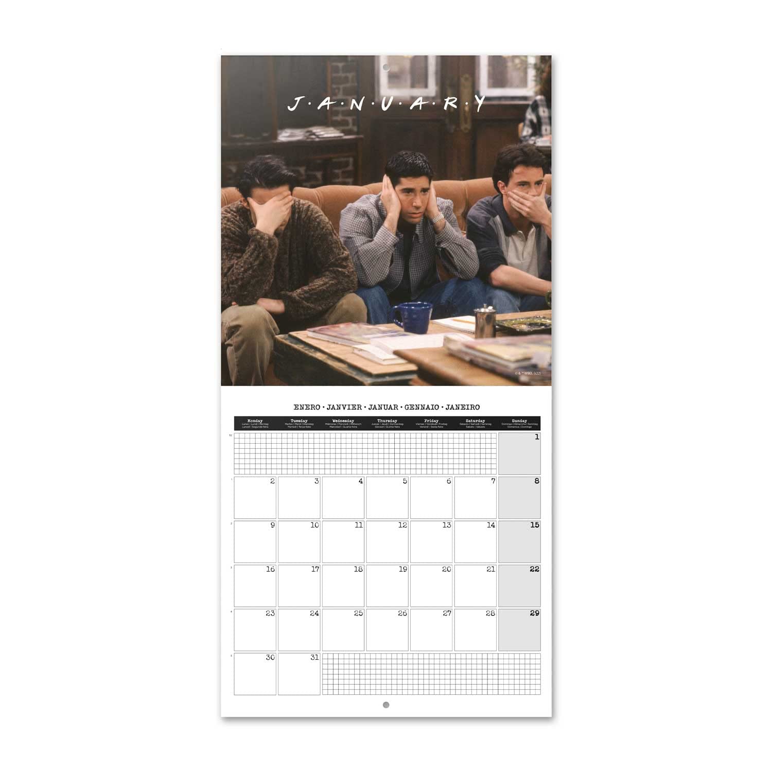 Calendrier Mural 2023 Pusheen 12 Mois - 30x60cm - Officiel FSC