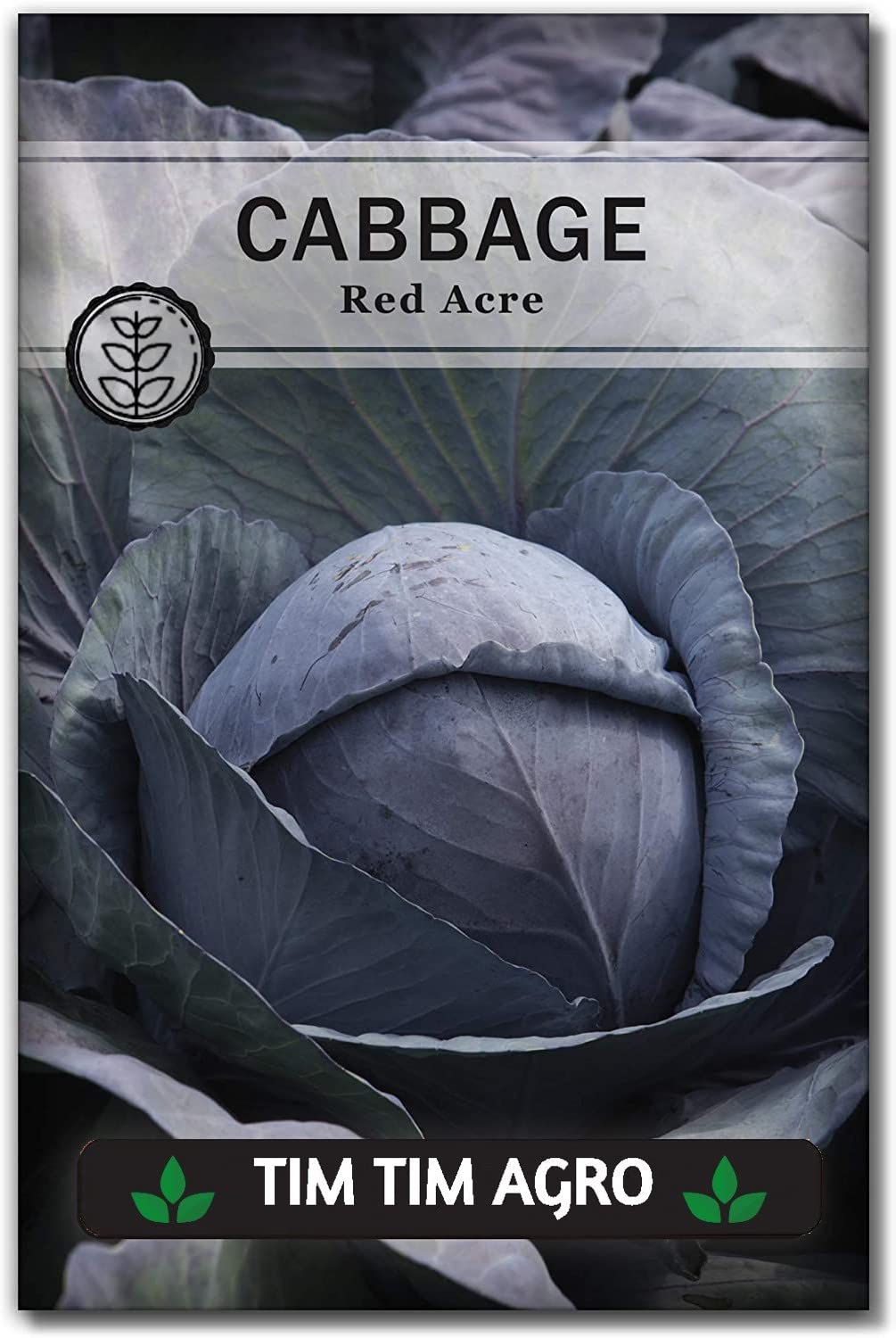 10g Red Acre Cabbage Seed for Planting - F1 Hybrid Imported Packet with Instructions to Plant an Outdoor Home Vegetable Garden - Great Gardening Gift