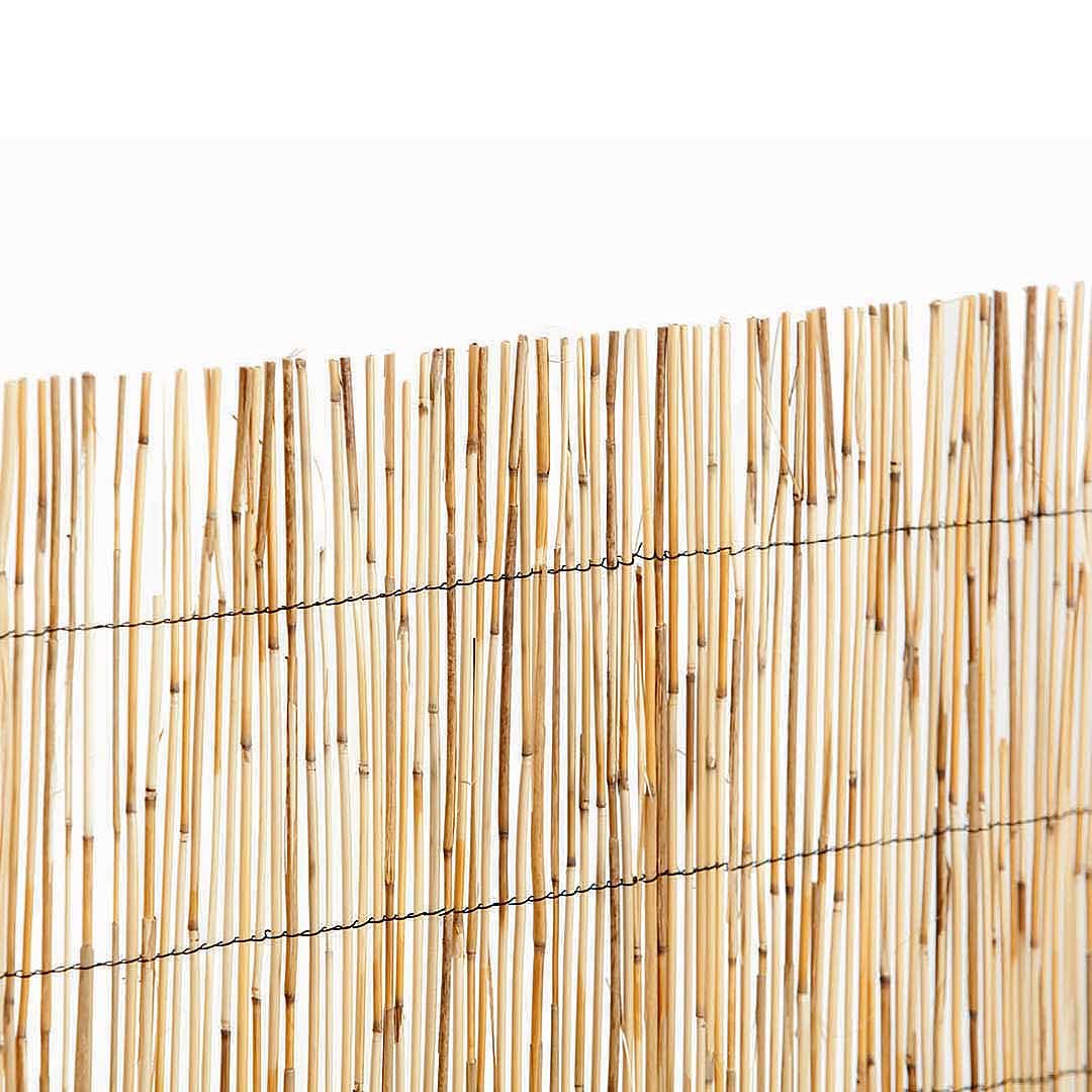 Catral | Cañizo Bambú Pelado 2X5 M | Ocultación | Hilo de Nylon | Duradero y Resistente | Protección UV