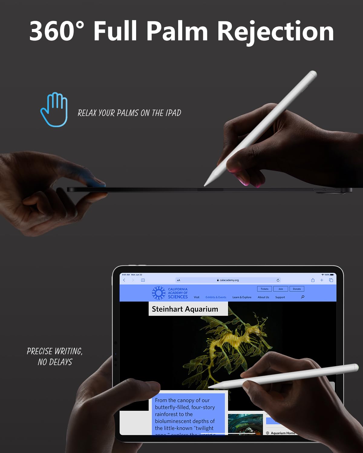 Amazon.com: Pencil Pro for iPad 2018-2025, IPencil with 15