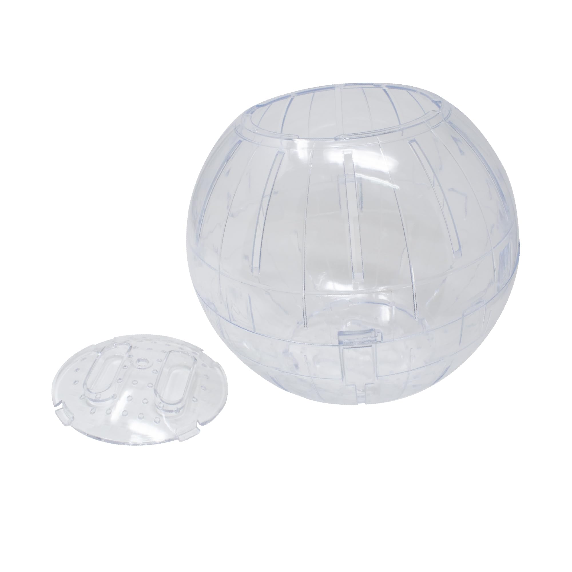ICA GD10025 Boule d'exercice pour rongeurs 25 cm Couleurs Assortis