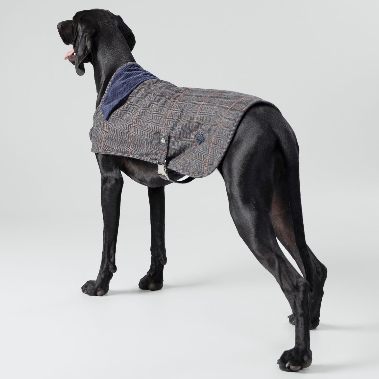 HUGO & HUDSON x Hackett Chaqueta de Tweed para Perro, Abrigo de Invierno cálido con Cuello de Pana, Cuadros Grises en Espiga, XS25