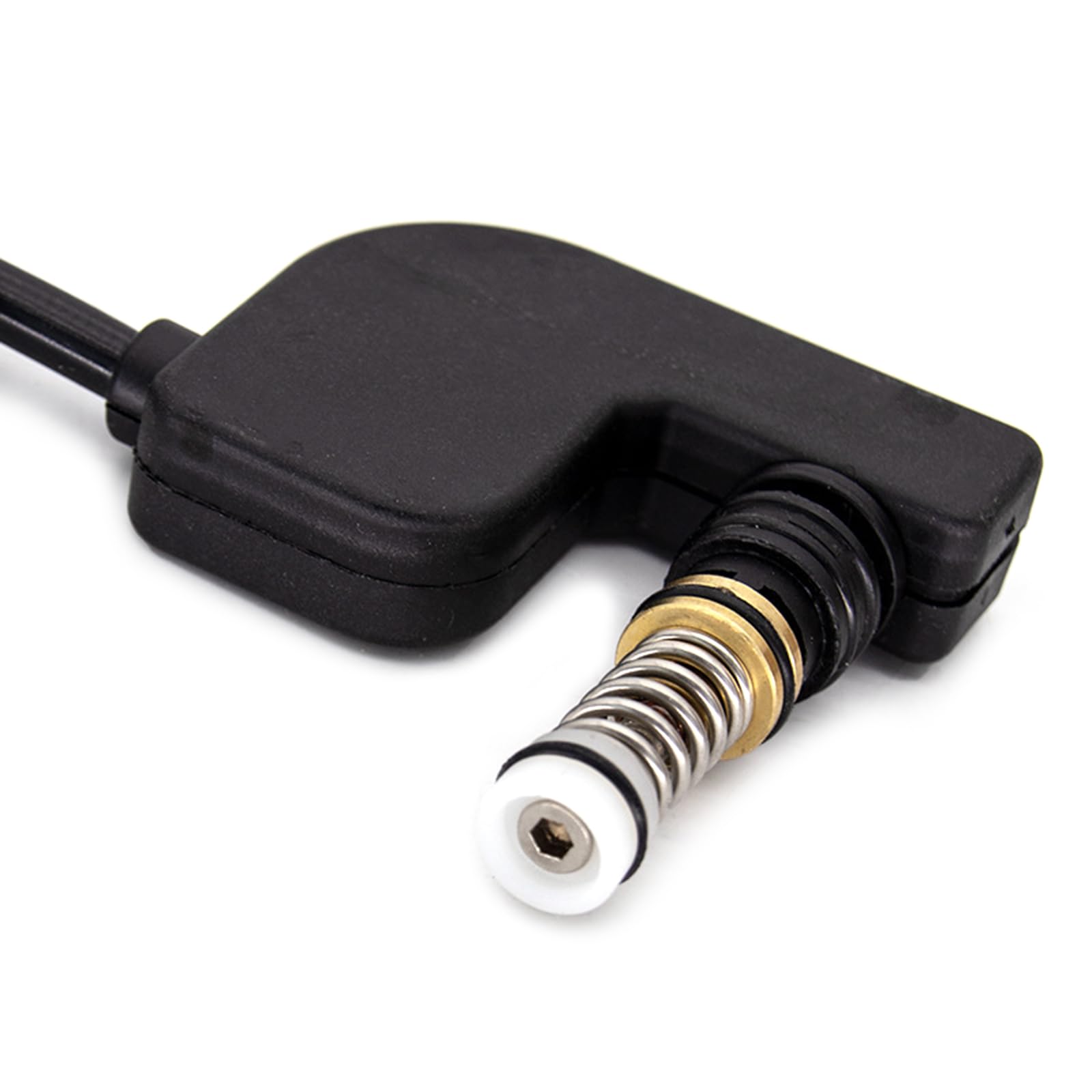 Pompa ad Pressione 220V per Lavaggio Auto e Piscina, Pompa per Idropulitrici Pneumatiche, Nero