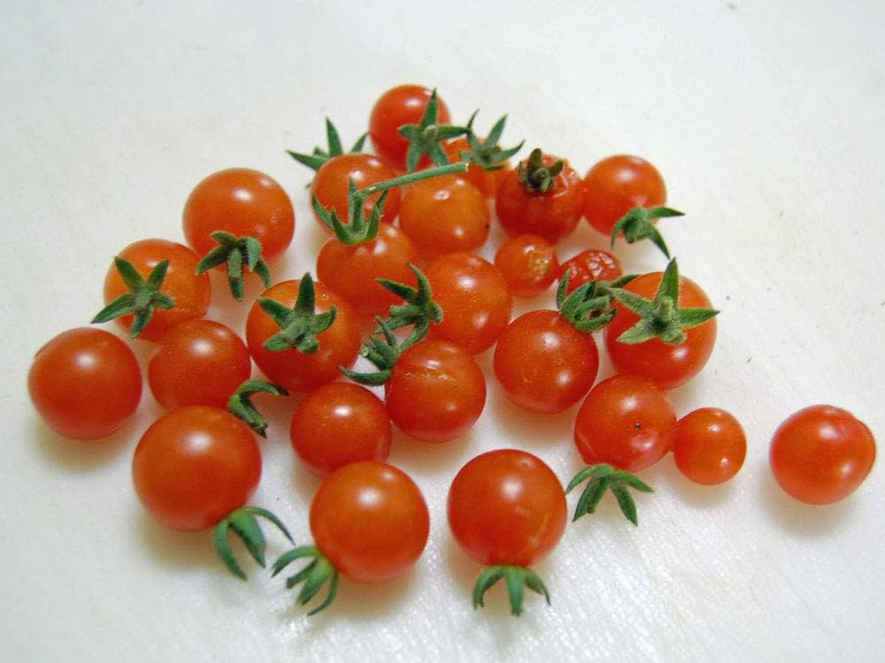 Amazon.co.jp: [SEED] Heirloom Tomato® Cuatomate Air Loom