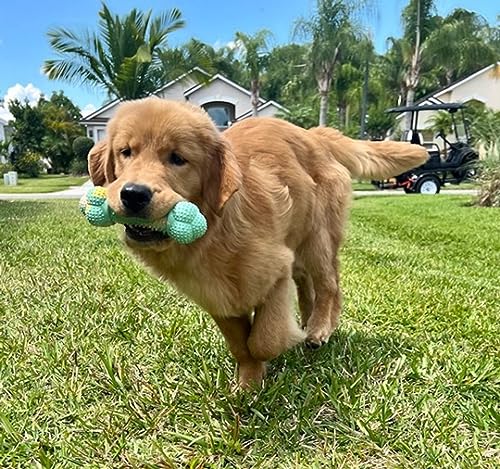 Image of Nylabone Puppy Chew Double Action Bone Rubber Dog Chew Toy, Medium