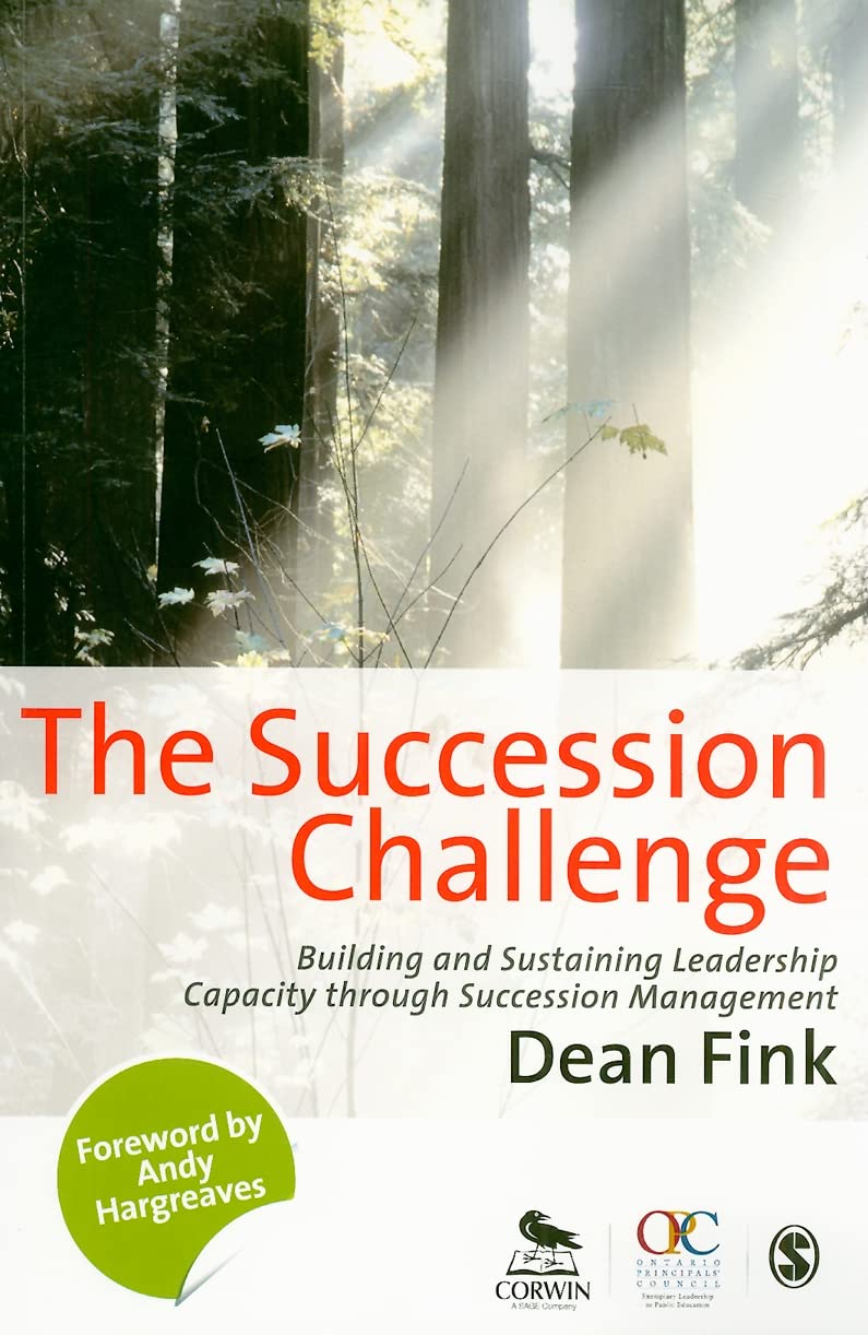 Buy The Succession Challenge: Building and Sustaining Leadership Capacity Through Succession Management — BookShops.in