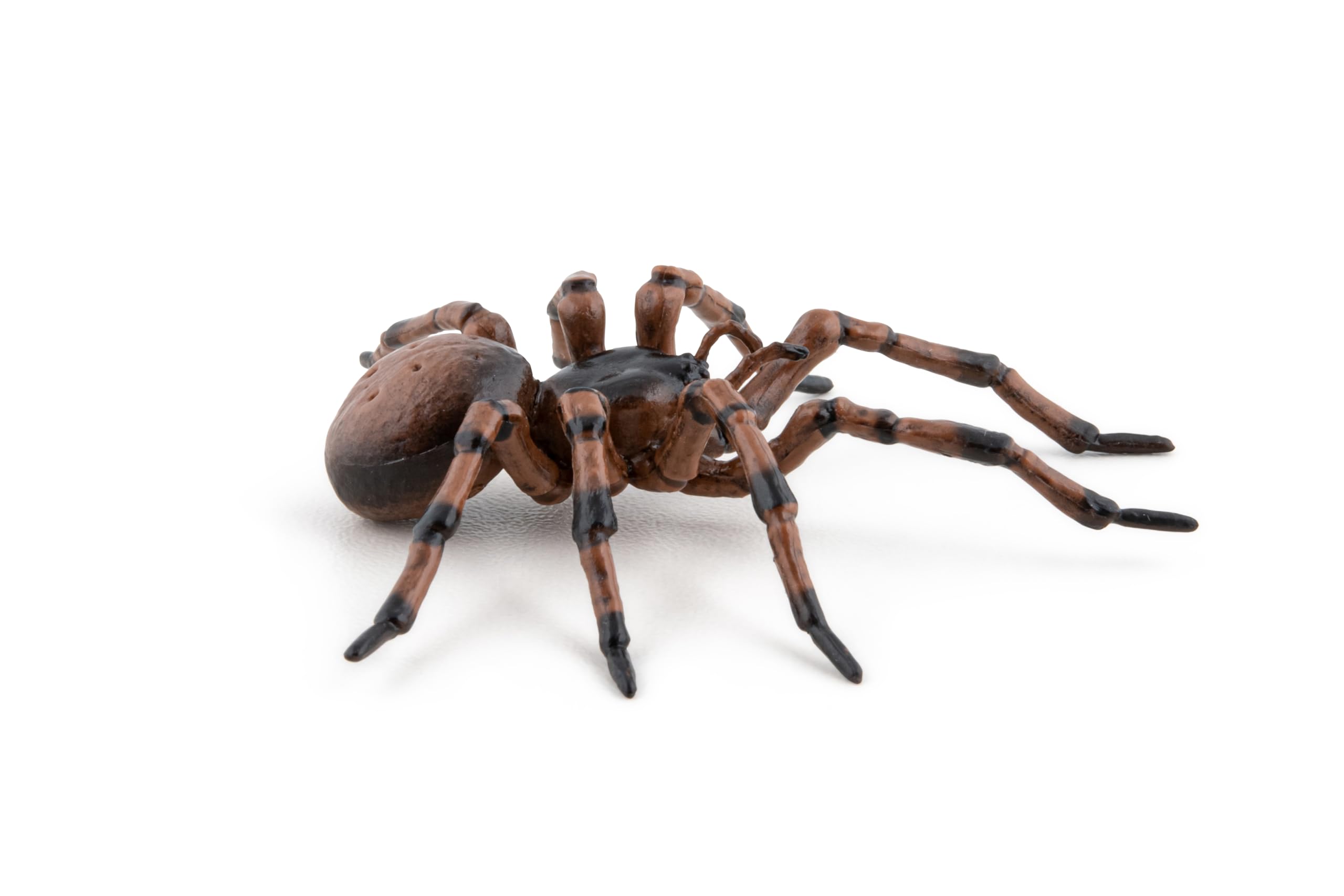 Papo - Realistic Spider Figure - Ages 3+ - Garden Animals Collection - Educational Play Insects - Gift Idea Toy for Girls and Boys - Image 4