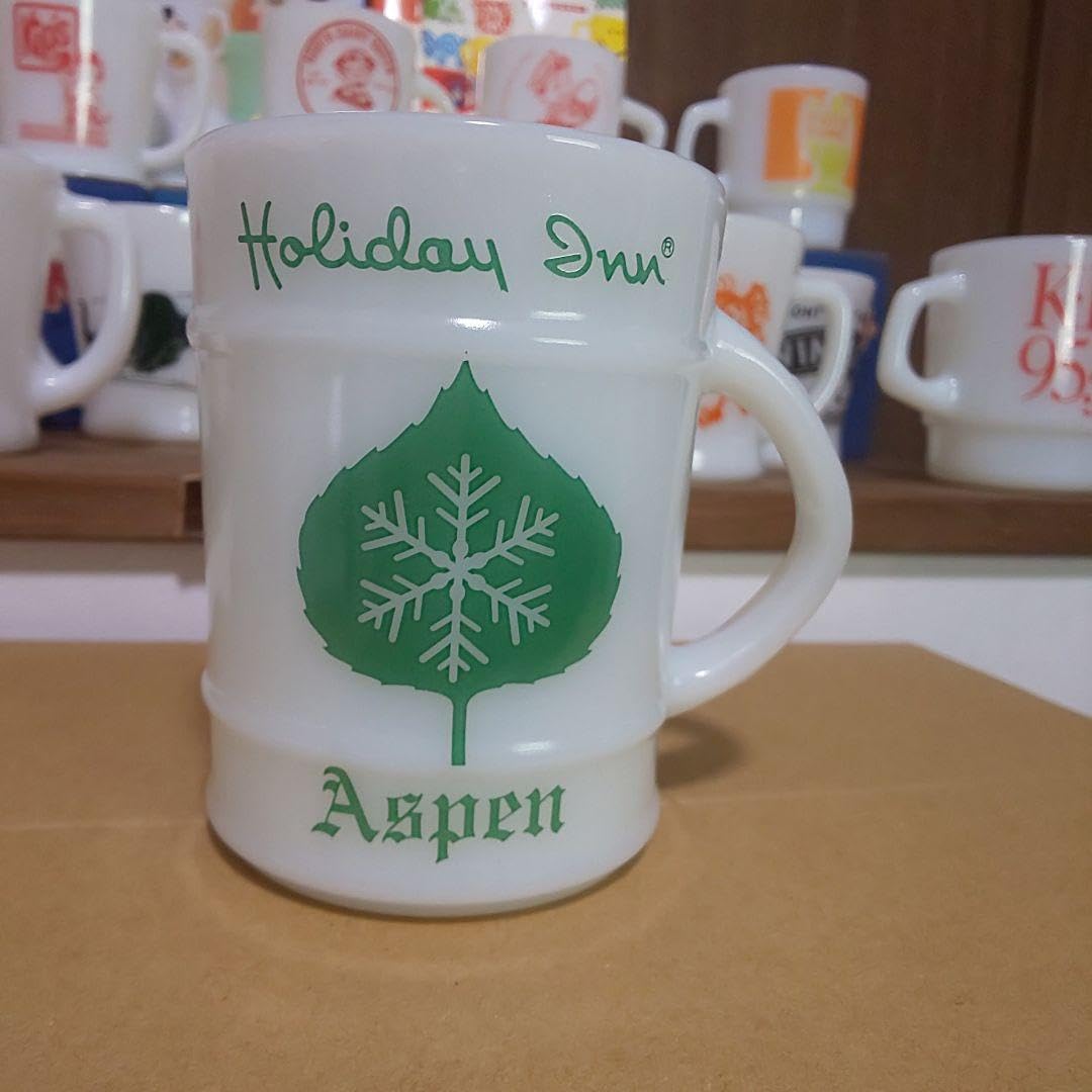 ファイヤーキング リブマグ ホリディイン ファイヤーキング リブマグ