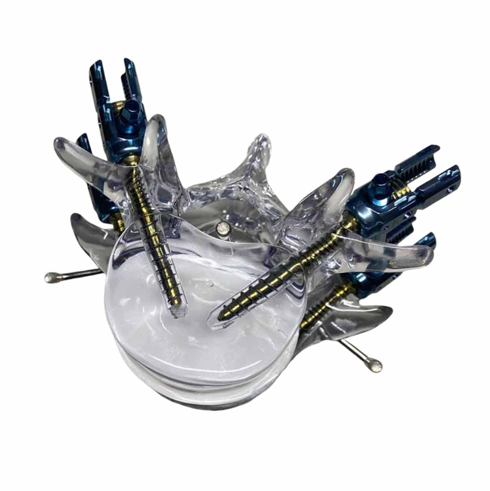YRQMGSF Transparent Crystal Lumbar Spine Pet Training Model Veterinary Spinal Lumbar Fusion Internal Fixation Practice Model,B,12CM