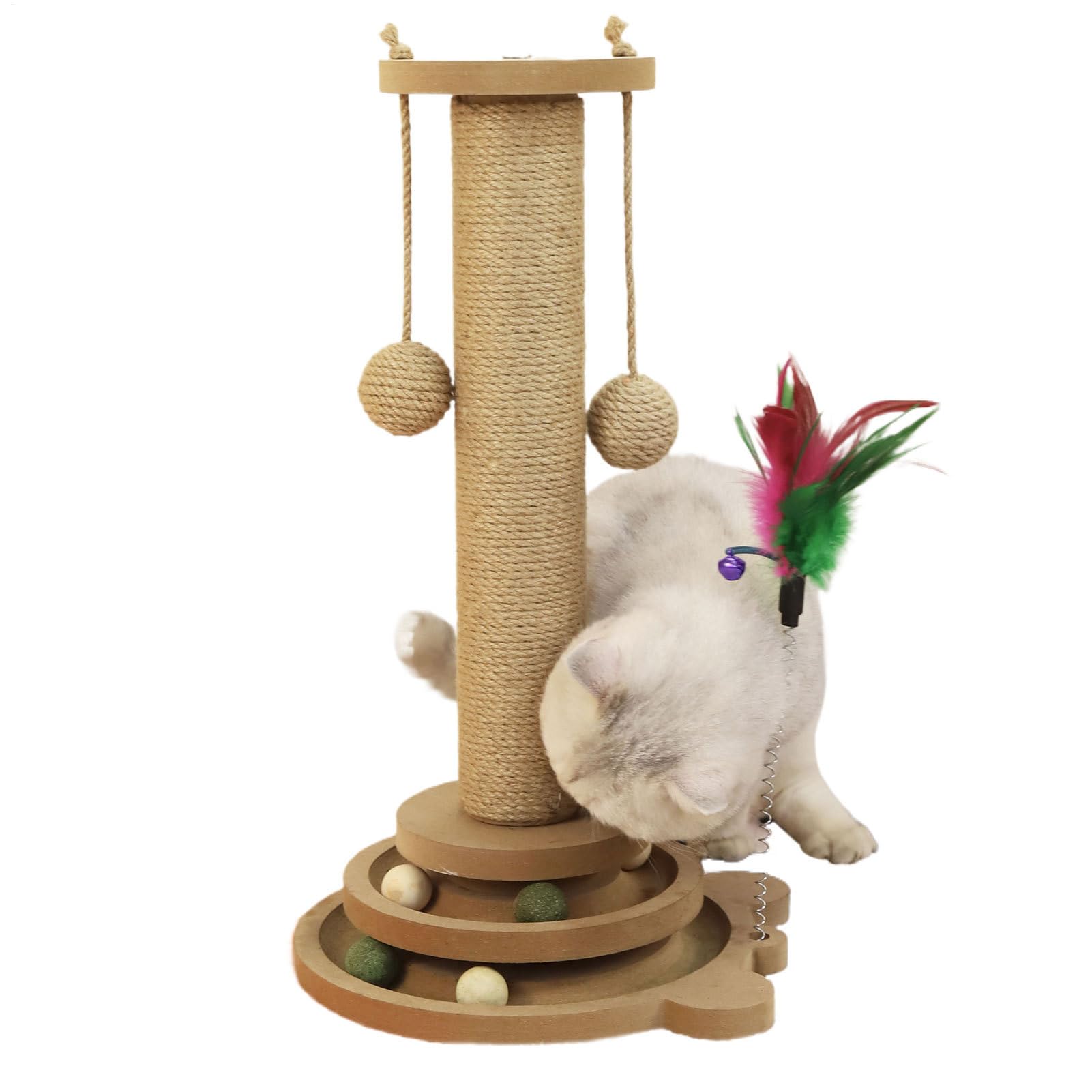 Griffoir pour Chat Circuit À Balle Pour Chat
