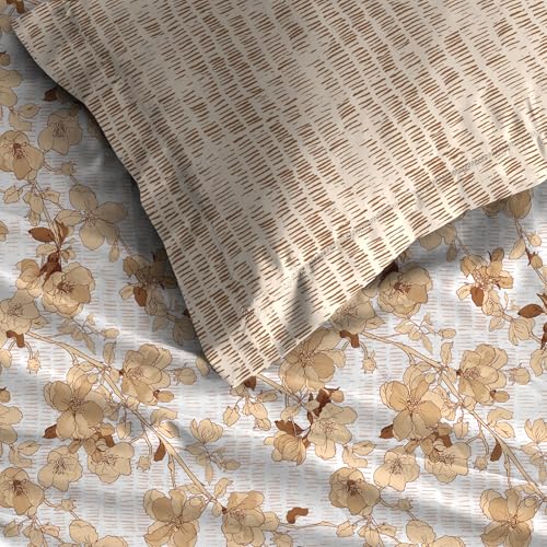 Image of Trident Celebration Queen Bedsheet Set, 100% Cotton Bedsheet for Double Bed (1 Queen Size Bedsheet with 2 Pillow Covers) Superior Softness, 144 Thread Count, Suitaible for Gifting - Shabnam Brown