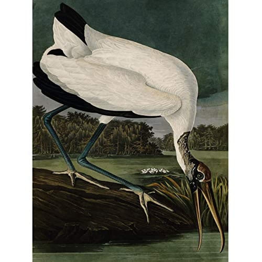 Artery8 Unframed Wall Art Audubon Birds Wood Ibis Painting12X16 Inch from B&Q