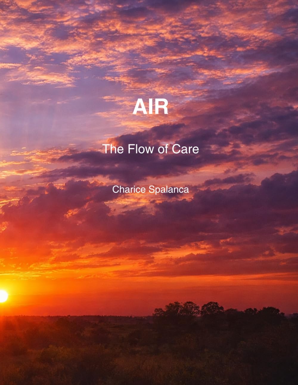AIR: The Flow of Care: A Guide to Calm, Presence, and Compassionate Care