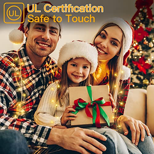 Ollny Outdoor String Lights - 400Led 132Ft Super Long Fairy Lights With 8 Modes Timer Remote, 29V Plug-In String Lights For Wedding Garden Yard Porch Party Tree Indoor Christmas Decor, Warm White #TOP5