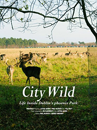 City Wild