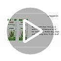 Baidyanath Aloe Vera juice with Pulp, All Natural tonic for Immunity, Better digestion and Glowing Skin, 1L (Pack of 2) - Image 2