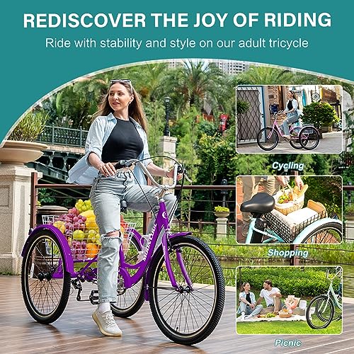 Mophoto P24-MZ-DBT9 Adult Tricycles Three Wheel Cruiser Bike 7 Speed thumb #3