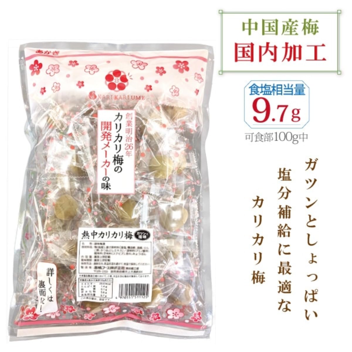 Amazon | 赤城フーズ 熱中カリカリ梅業務用 450g | 赤城フーズ