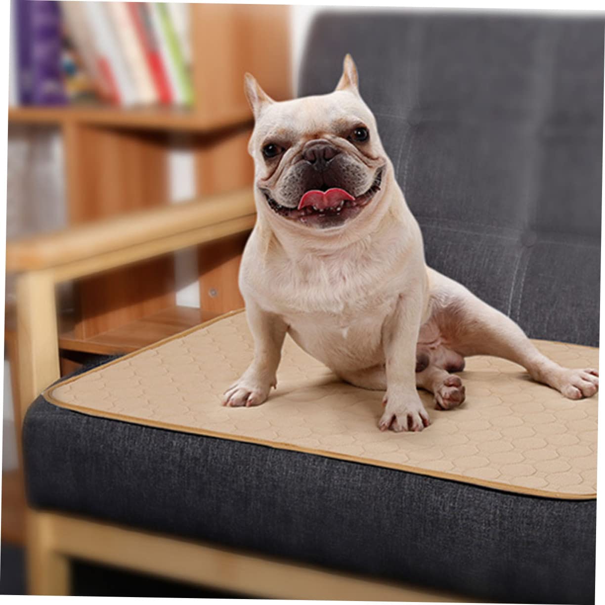 Tapis D’Urine pour Chien Absorbant Lavable en Tissu Kaki 1 Pièce