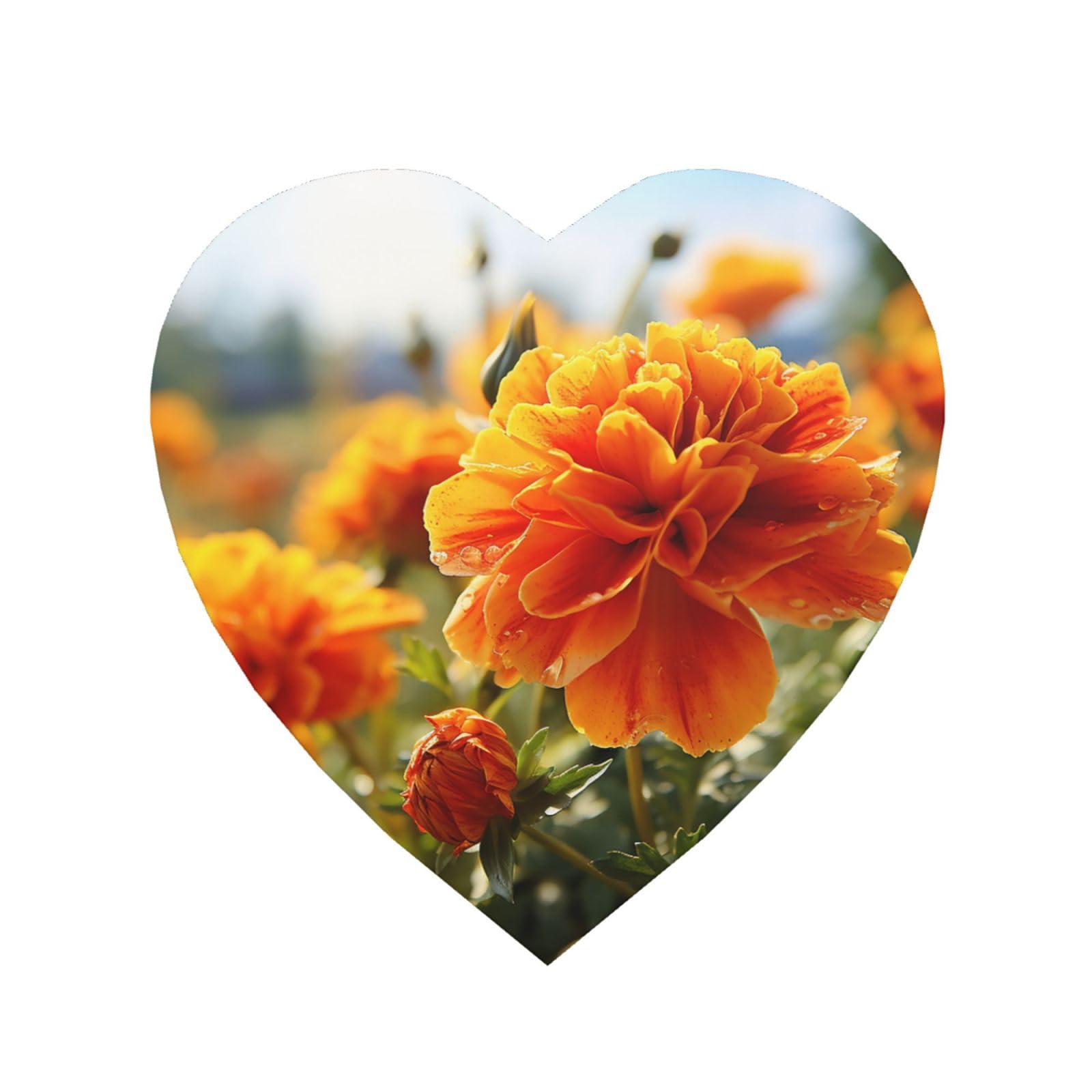 Fodpand Heart Shape Marigold Flower Autumn Flowers Fridge Magnets, Strong Small Refrigerator Magnets Decorative Magnets For Kitchen Fridge Office Locker - Funny Magnetic Stickers Birthday Gifts