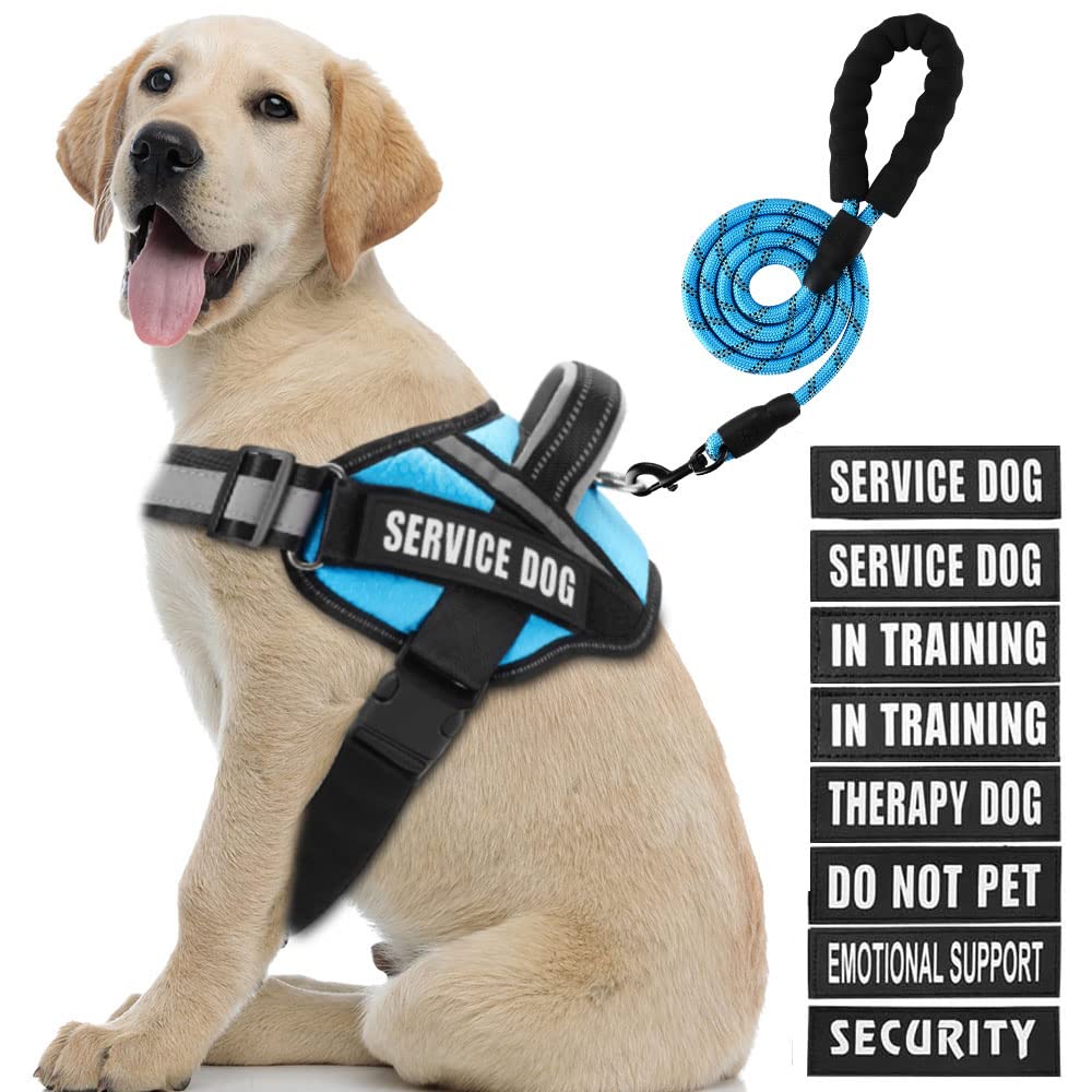 Service Dog Vest Harness and Leash Set, Animire in Training Dog Harness with 10 Dog Patches, Reflective Dog Leash with Soft Padded Handle for Dogs (Light Blue,L) — image 1