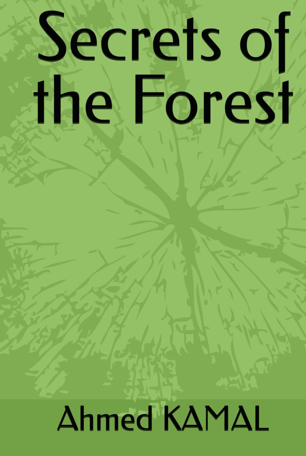 Secrets of the Forest