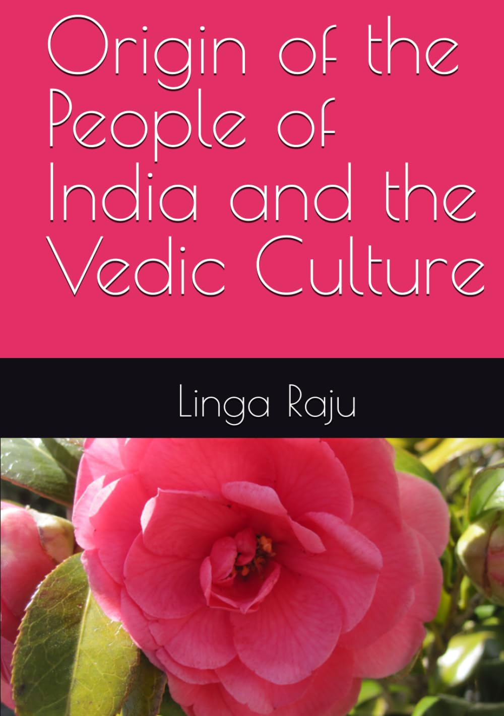 Origin of the People of India and the Vedic Culture