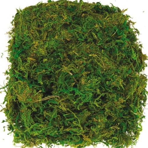 Baker Ross AV898 Dried Moss - Pack of 100g Green Natural Moss Craft Decorating Floral Arrangements DIY Projects