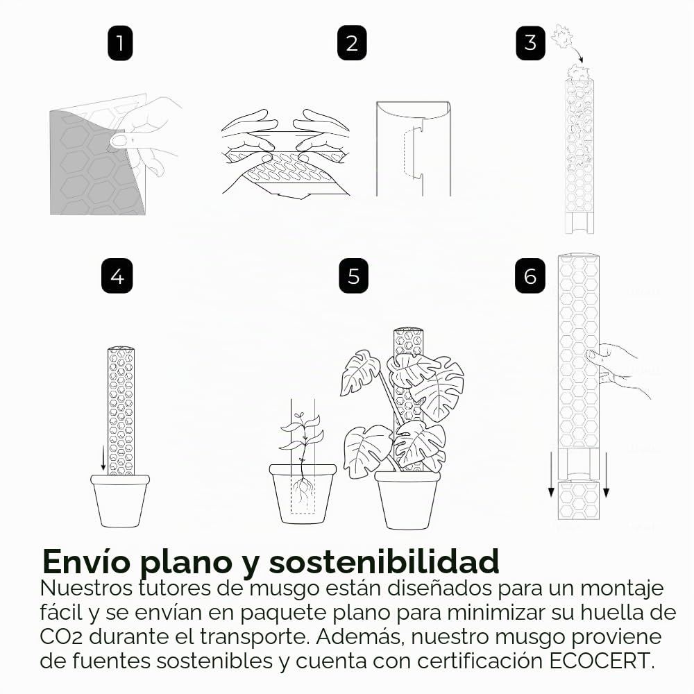 Tutores de Musgo para Monstera - 5 Unidades 39 x 6 cm - Soporte Extensible con Accesorios - con Velcro y Musgo para Aroideas y Plantas Trepadoras