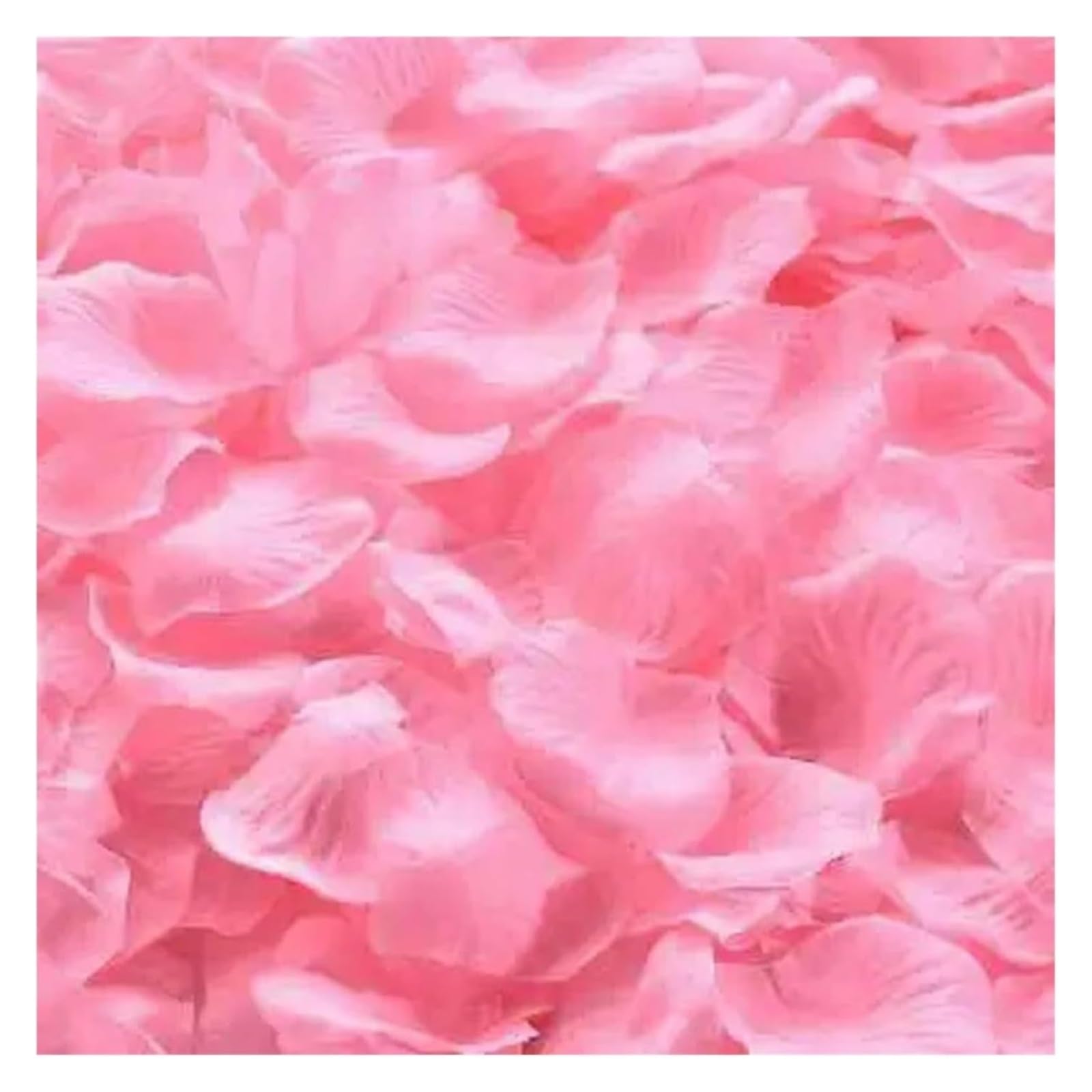 BPABDEITR Artificial Silk Rose Petals Multicolor 1000/3000 Pcs Wedding Decoration(Roze,1000pcs)