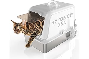The Game-Changing Cool Cat Litter Box