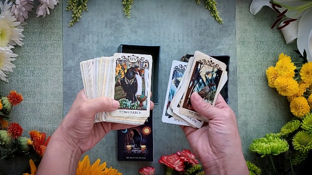 Angel Connections: 40 Message Cards: 40 Message Cards, Recognize