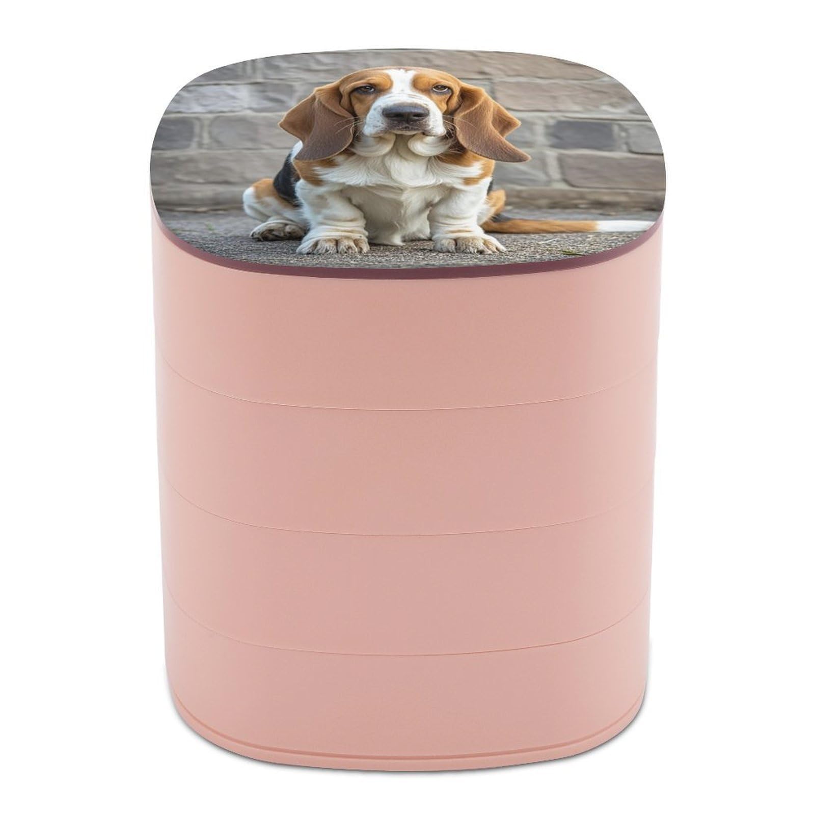 LZQPOEAS Basset Hound Jewelry Box with Mirror 4-Layer Rotating Travel Jewelry Case Small Jewelry Organizer Portable Jewelry Storage Box Rings Stud Necklaces Earring Holder for Women