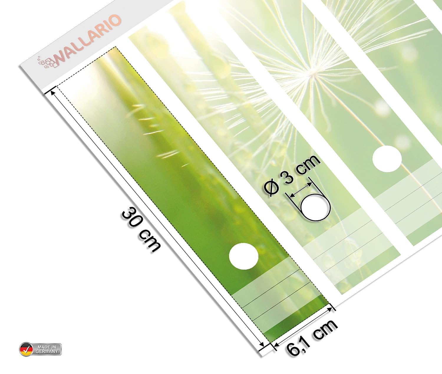 Wallario 8 Stück schmale Ordner inkl. Klebeetiketten mit Motiv Samen der Pusteblume in Nahaufnahme vor blauem Himmel - Set mit Rückenschildern/Ordnerrücken Stickern