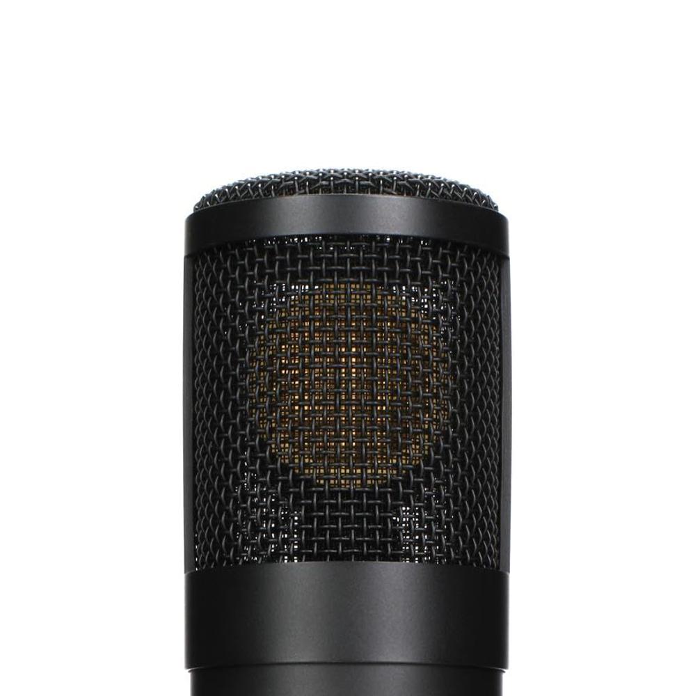 Amazon.com: Slate Digital VMS ML1 - Micrófono de modelado, negro